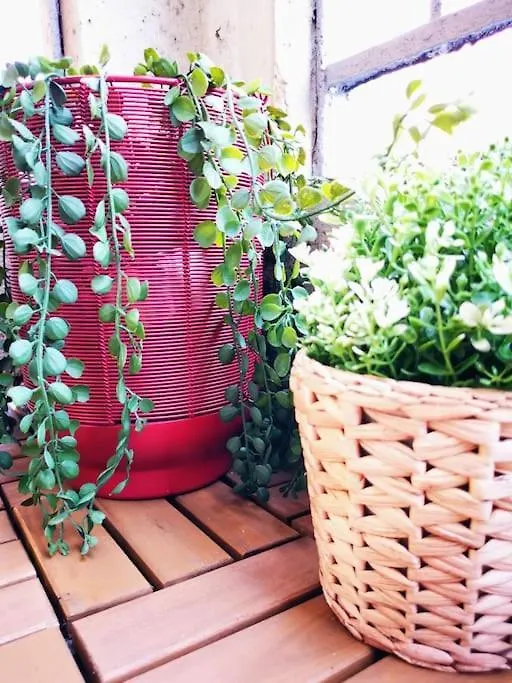 Sunny Flat 50 Meters From The Metro Lejlighed Milano 0*,  Italien